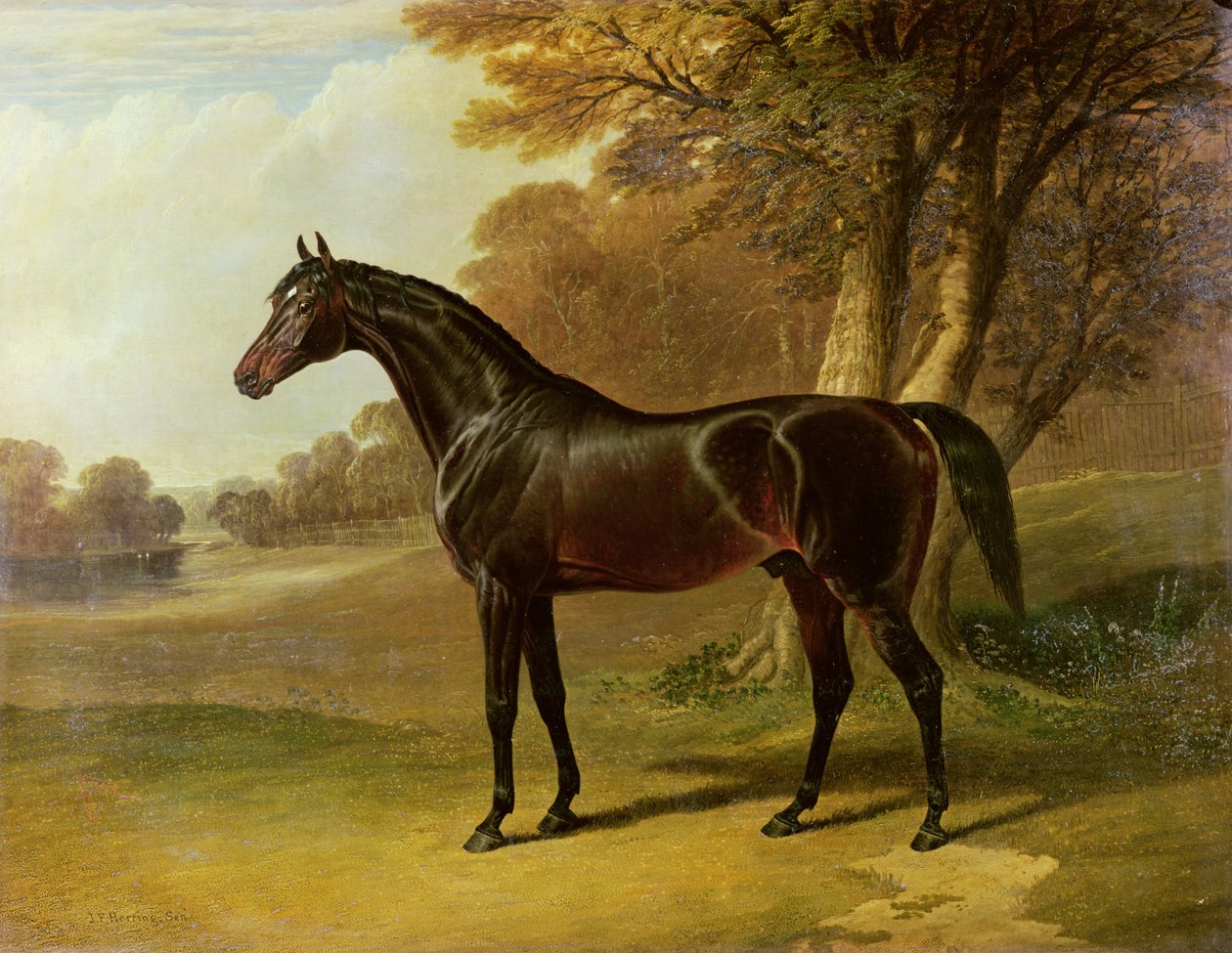 Glauco de John Frederick Herring Senior