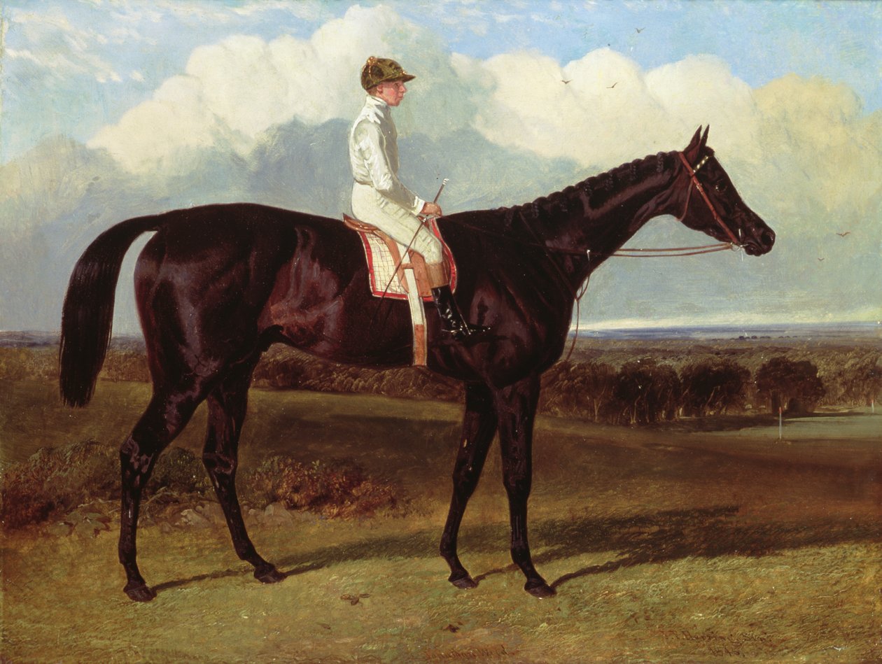 Jonathan Wild, un caballo de carreras oscuro, en Goodwood, T.Ryder montado, 1846 de John Frederick Herring Senior