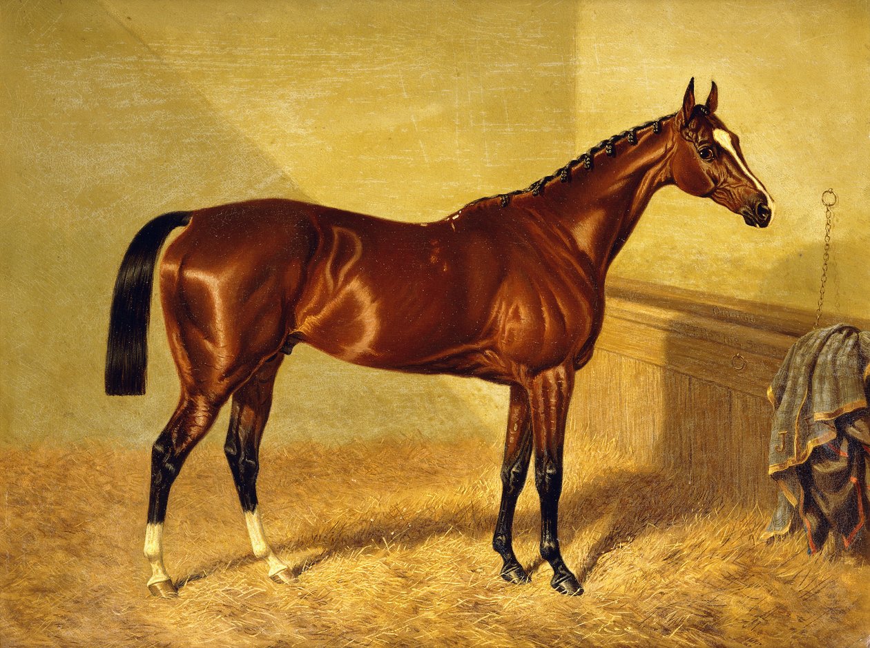 Orlando, un caballo de carreras bayo en un establo, 1845 de John Frederick Herring Senior