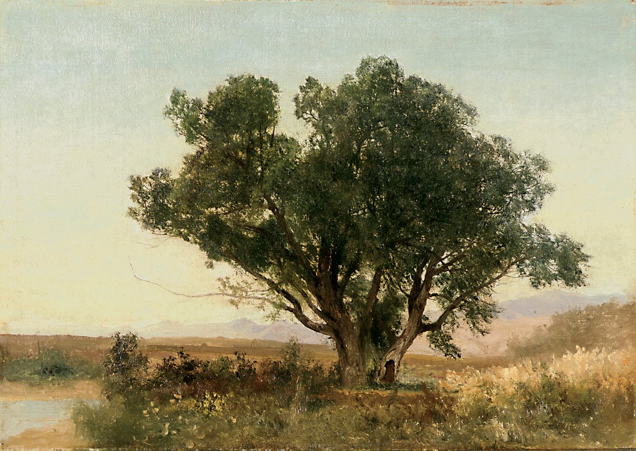 La Cordillera Frontal, Colorado de John Frederick Kensett