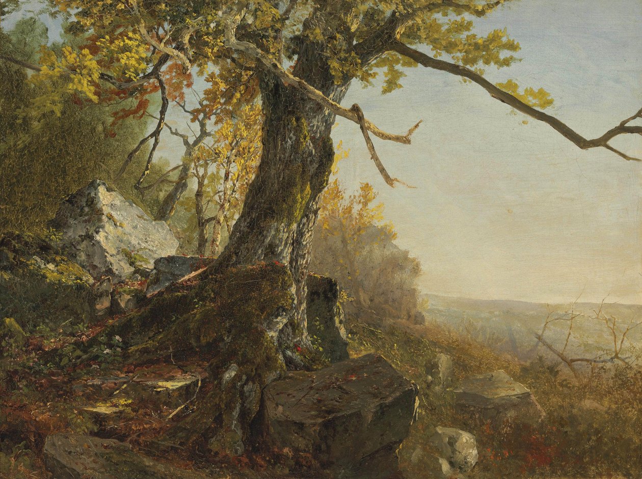 Árbol en un paisaje de John Frederick Kensett