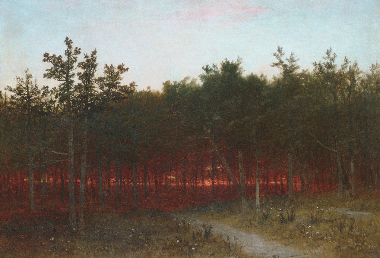Crepúsculo entre los cedros en Darien, Connecticut de John Frederick Kensett