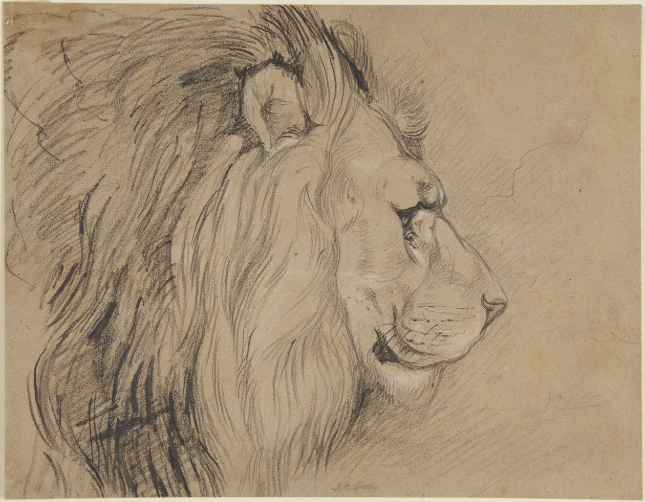 León de John Frederick Lewis