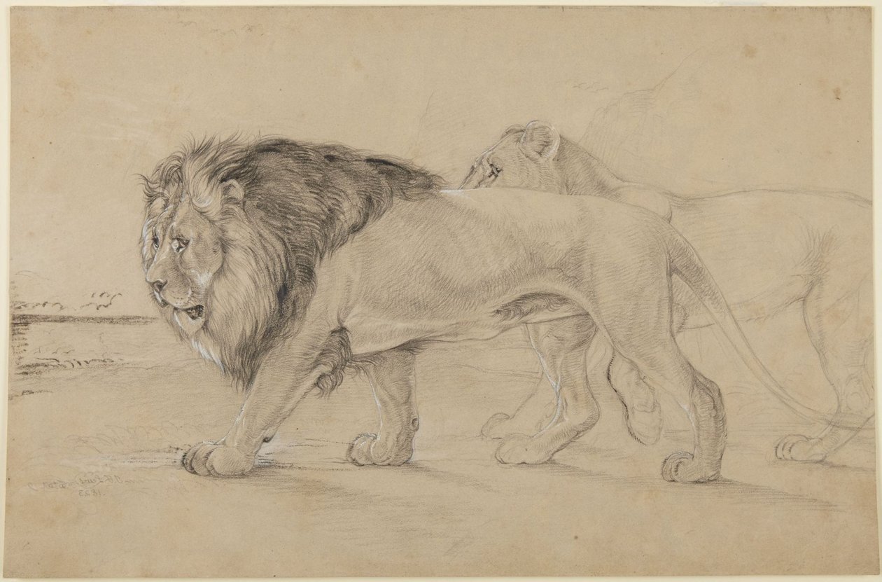 Leones de John Frederick Lewis