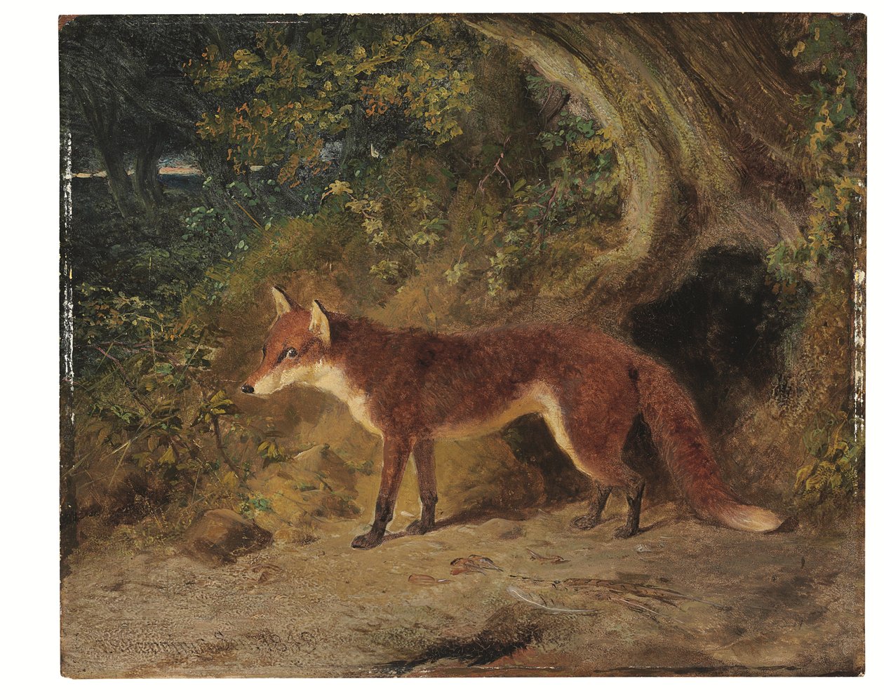 El Zorro Rojo de John Frederick Senior Herring