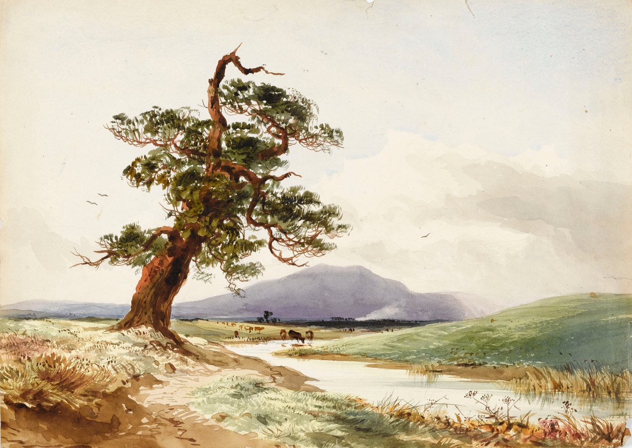 Vista de un árbol cerca de un río con ganado bebiendo y una colina púrpura más allá de John Frederick William Herschel