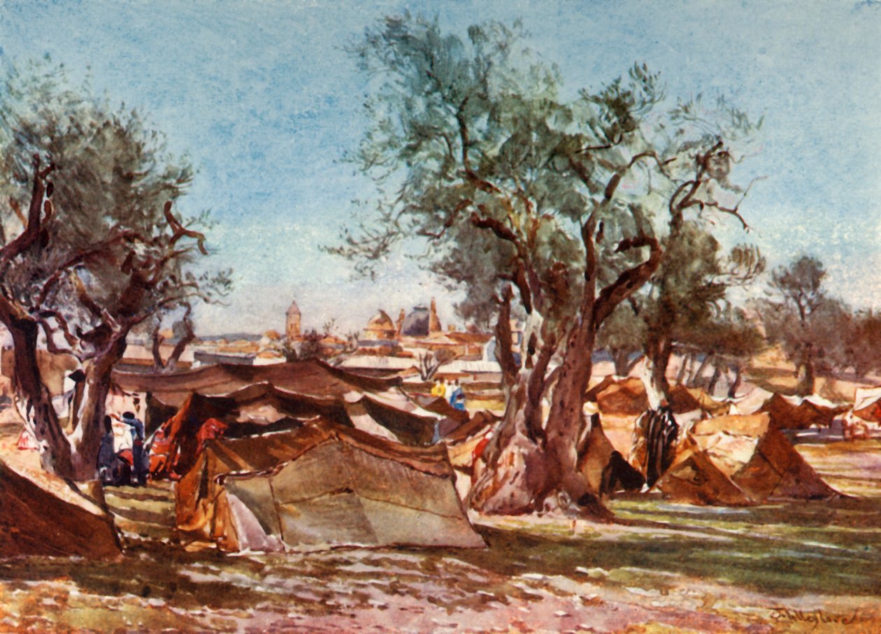 Campamento Beduino Fuera del Muro Norte de Jerusalén de John Fulleylove
