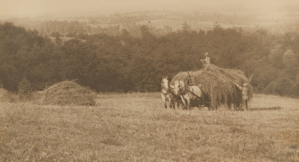 Carga de heno, 1890-1900 (foto) de John G. Bullock