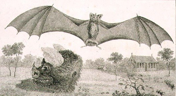 El vampiro o espectro de Guayana de John Gabriel (after) Stedman