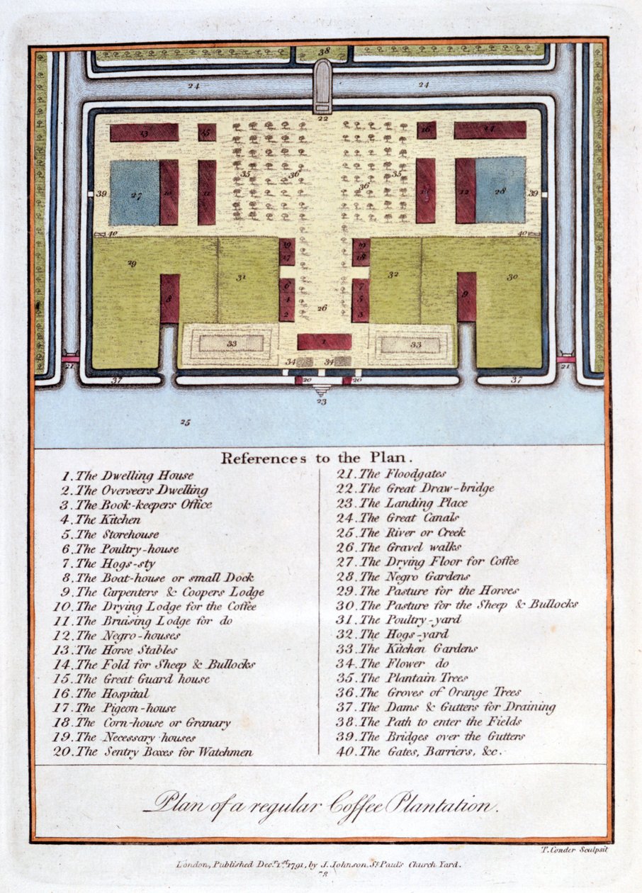 Plano de una plantación de café regular, 1813 de John Gabriel Stedman