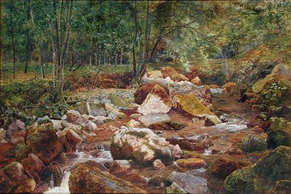 Un arroyo rocoso cubierto de árboles de John George Sowerby