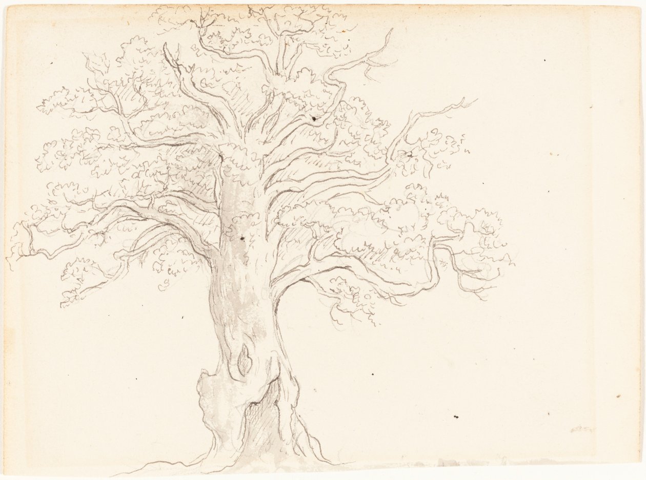 Un Roble de John Glover