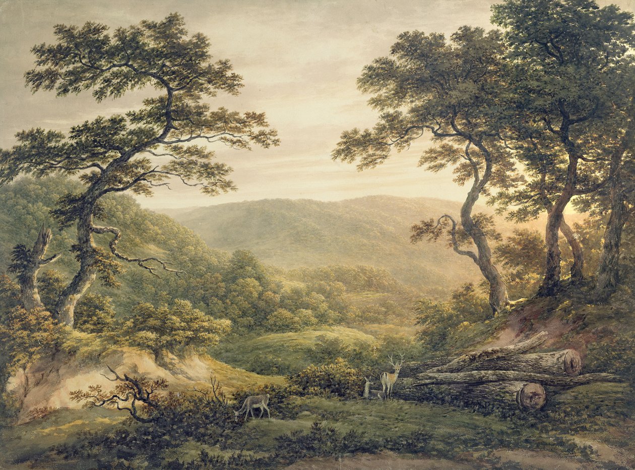 Bosque de Needlewood, Hampshire de John Glover