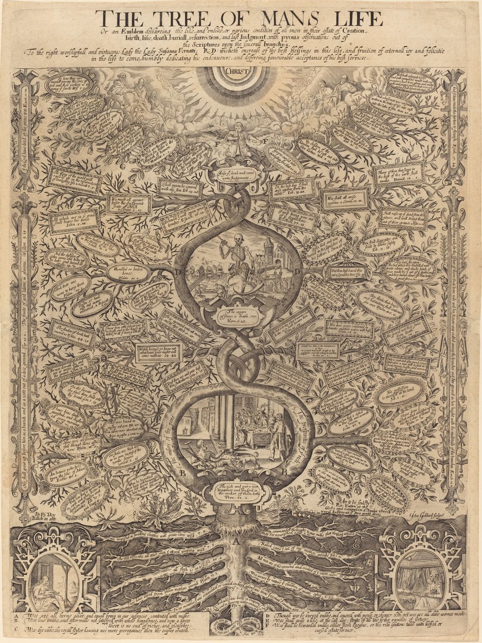 El árbol de la vida del hombre de John Goddard, after Richard Dey