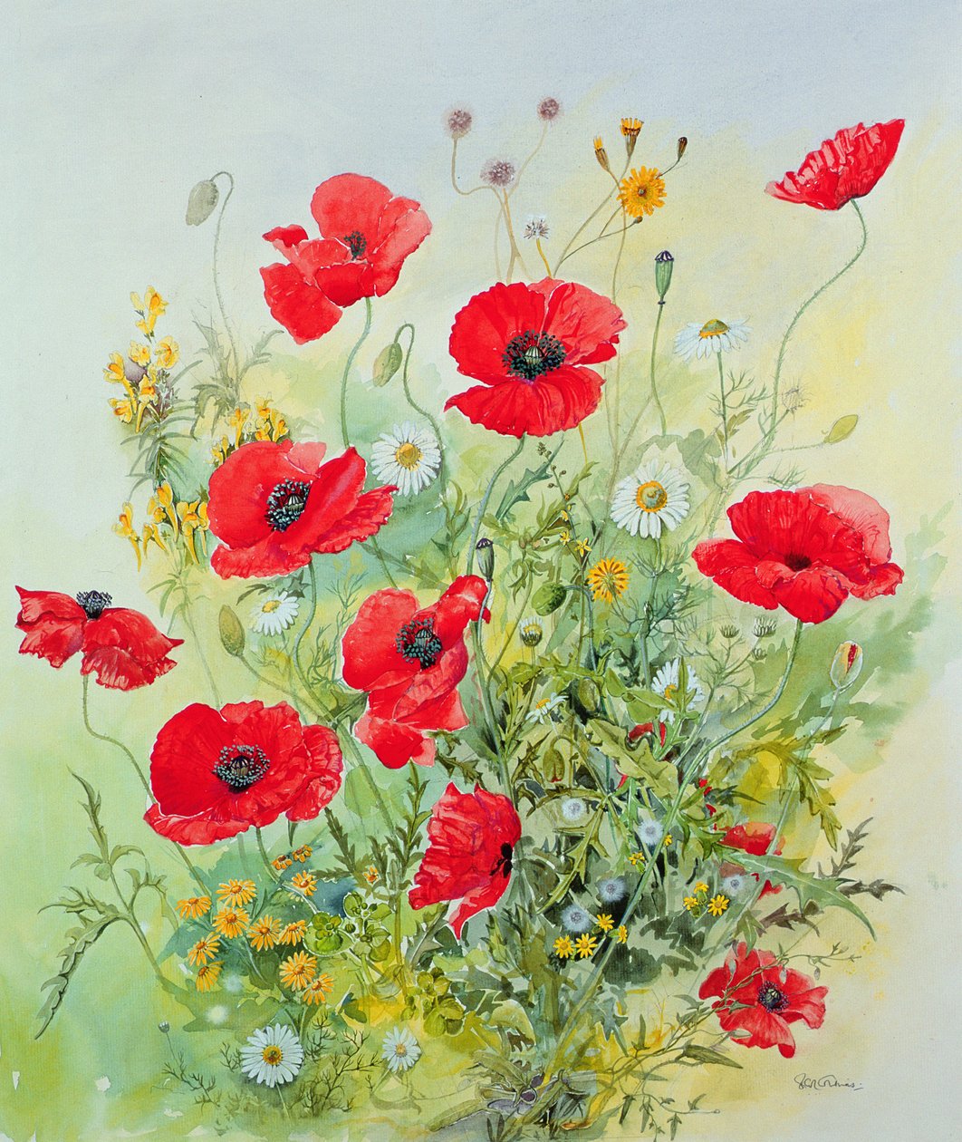 Amapolas y manzanilla de John Gubbins