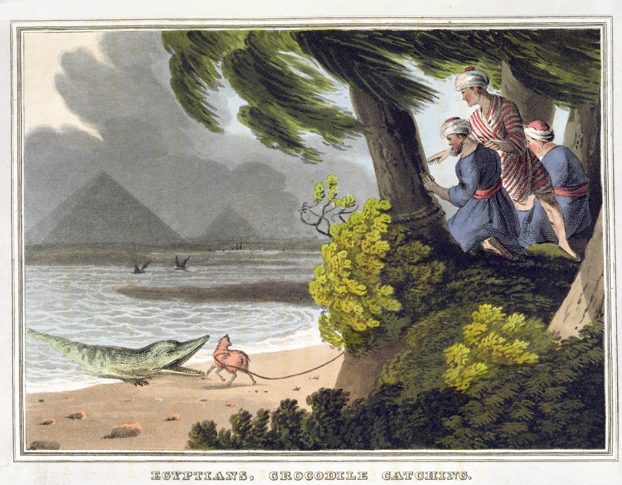 Egipcios atrapando cocodrilos, grabado por Matthew Dubourg (fl.1785-1820), publicado por Edward Orme de John Heaviside (after) Clark