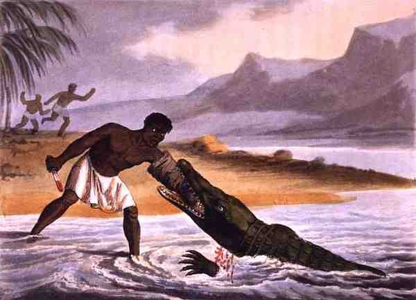 Los cazadores de cocodrilos africanos, grabado por Matthew Dubourg (fl.1785-1820), publicado por Edward Orme de John Heaviside (after) Clark