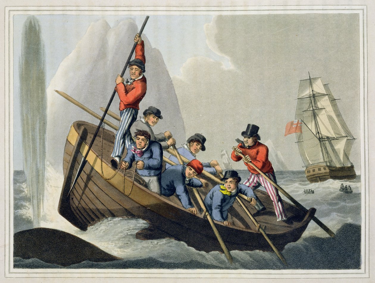 Bote de un barco atacando a una ballena, grabado por Matthew Dubourg, publicado por Edward Orme, 1813 de John Heaviside Clark