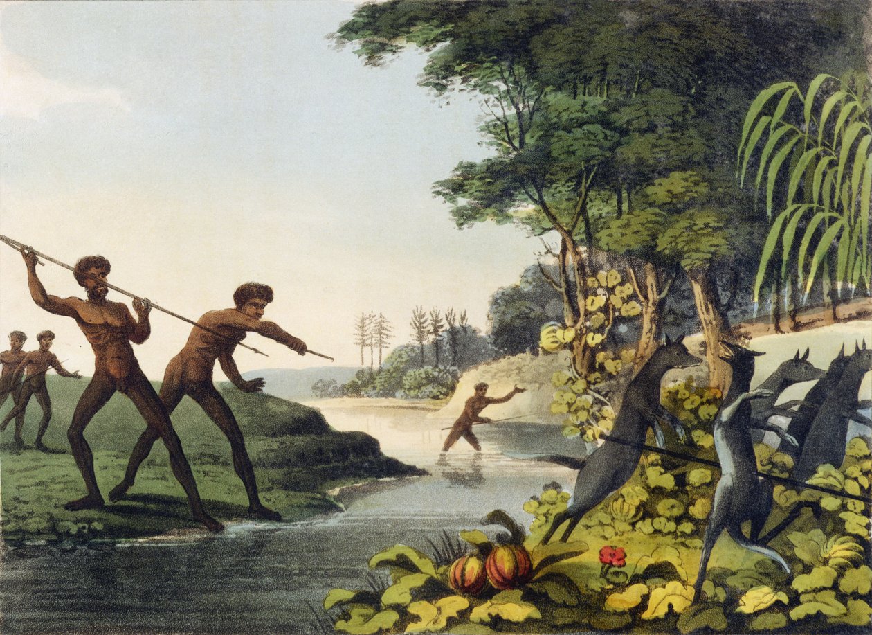 Cazando el canguro, aborígenes en Nueva Gales del Sur grabado por Matthew Dubourg (fl.1813-1820) 1813 de John Heaviside Clark