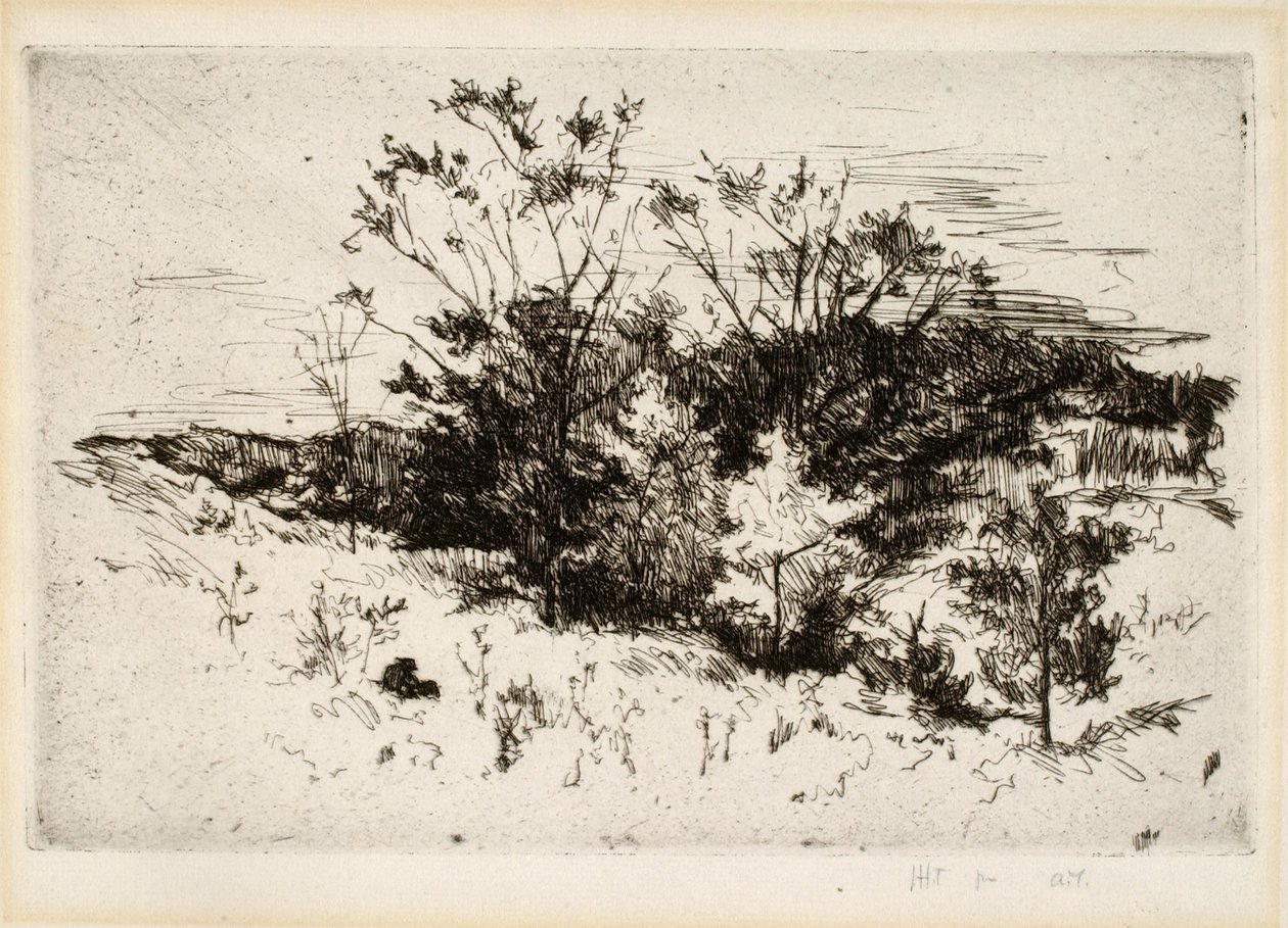 Paisajismo cerca de Cincinnati de John Henry Twachtman