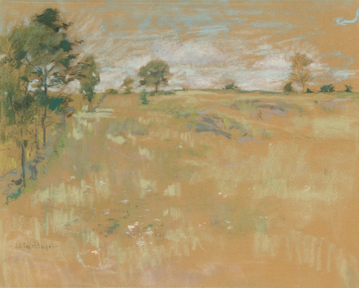 Weiden, Branchville, Connecticut de John Henry Twachtman