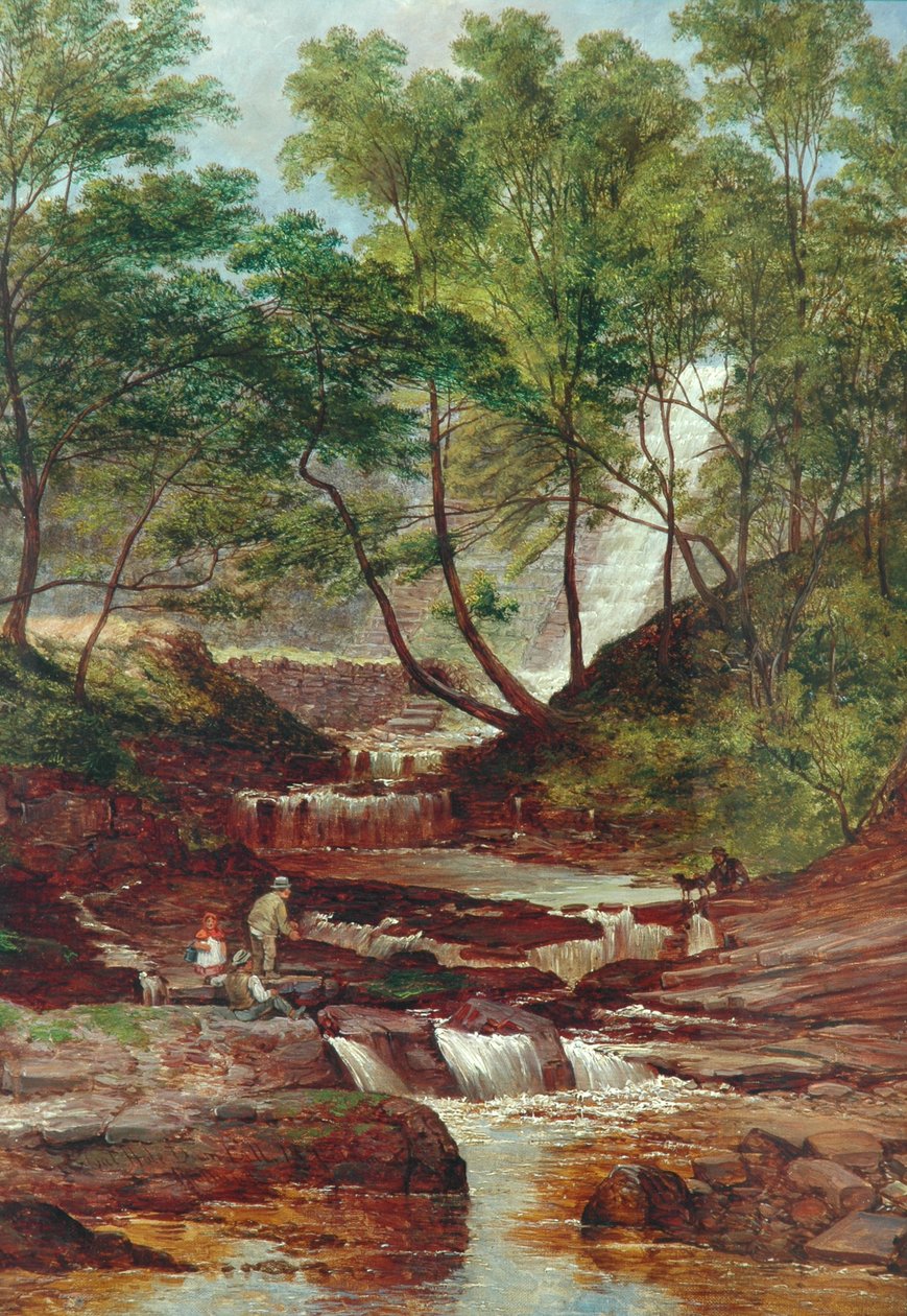 Catarata de Cat Holes en Todmorden, 1870 de John Holland
