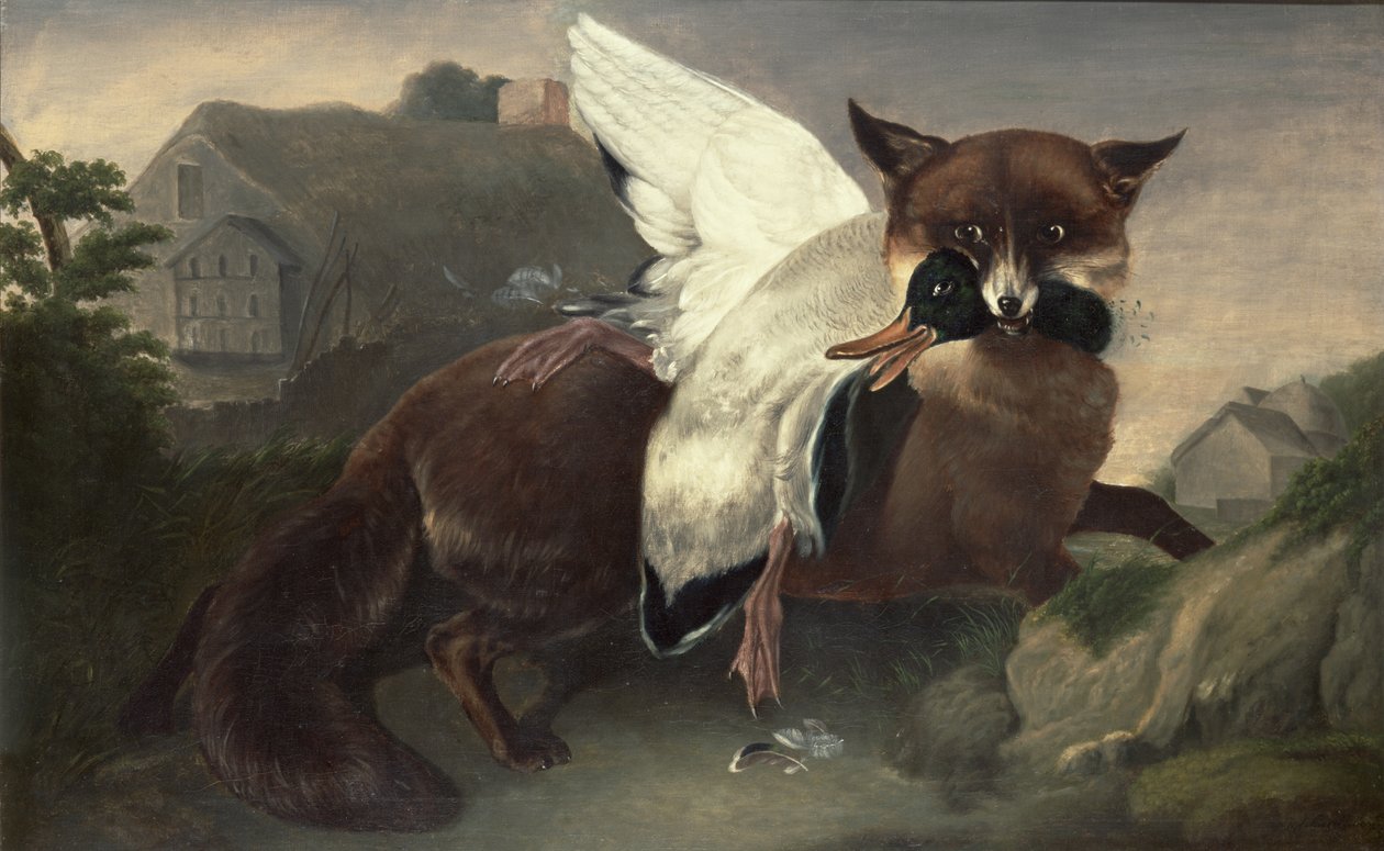 Zorro y ganso, c.1835 (óleo sobre lienzo) de John James Audubon