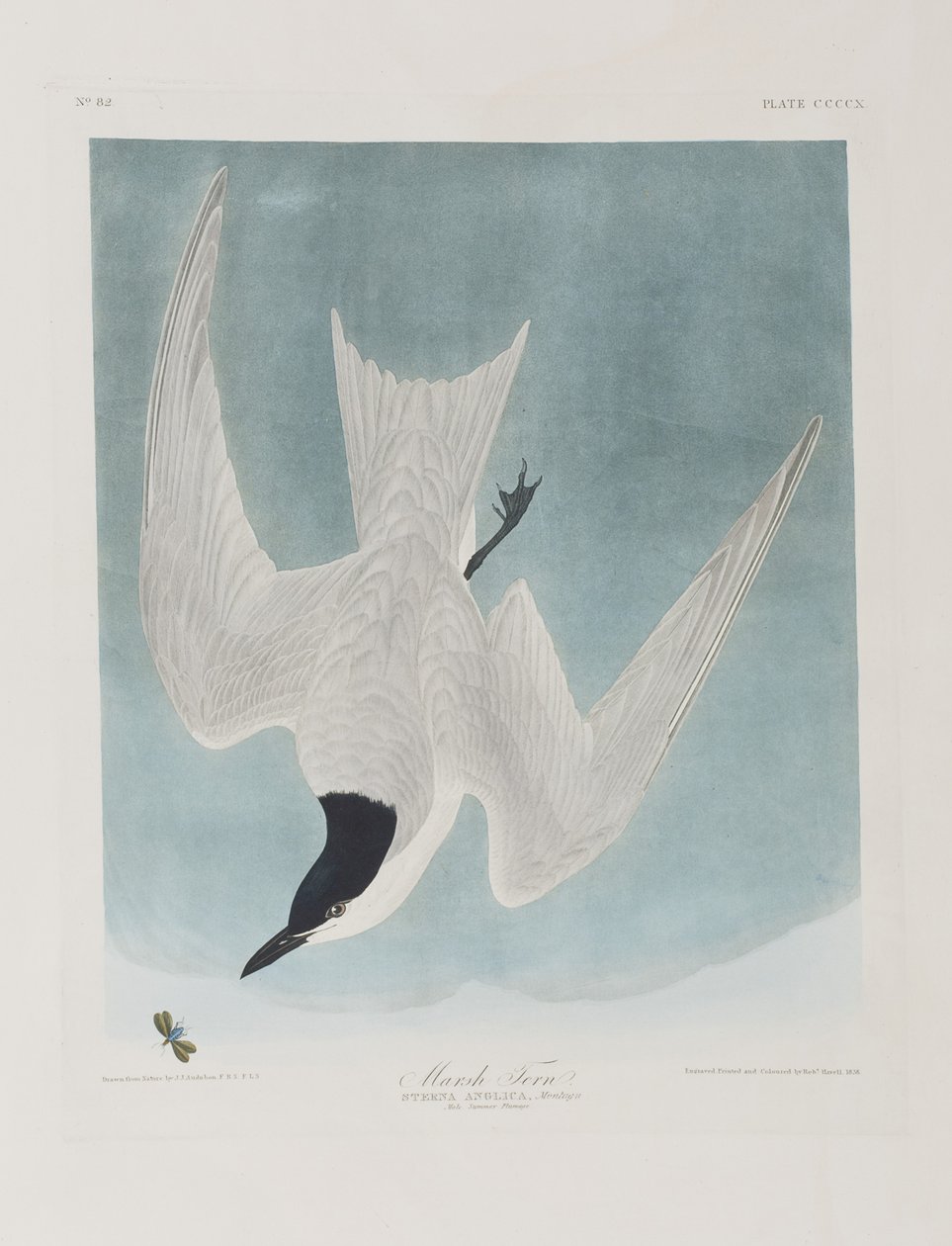 Ilustración de 