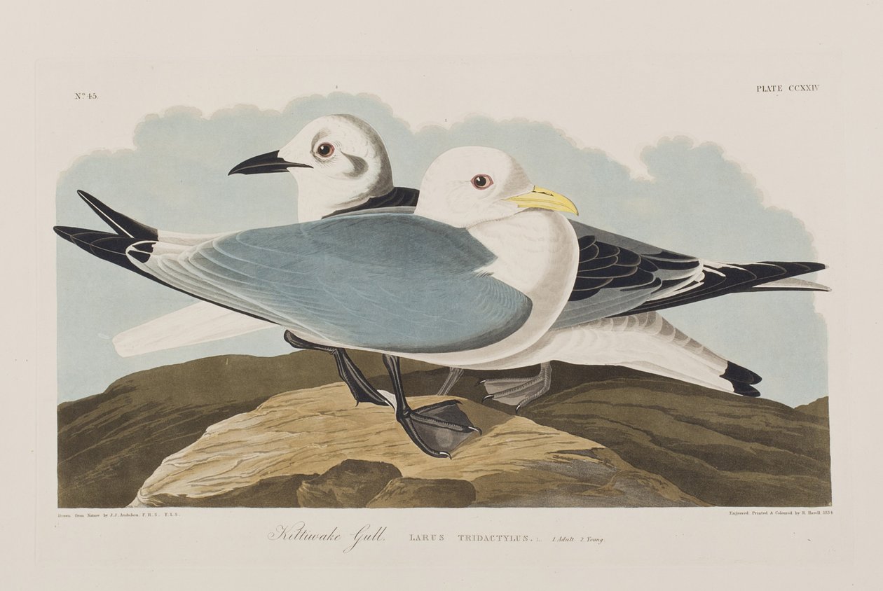 Ilustración de 
