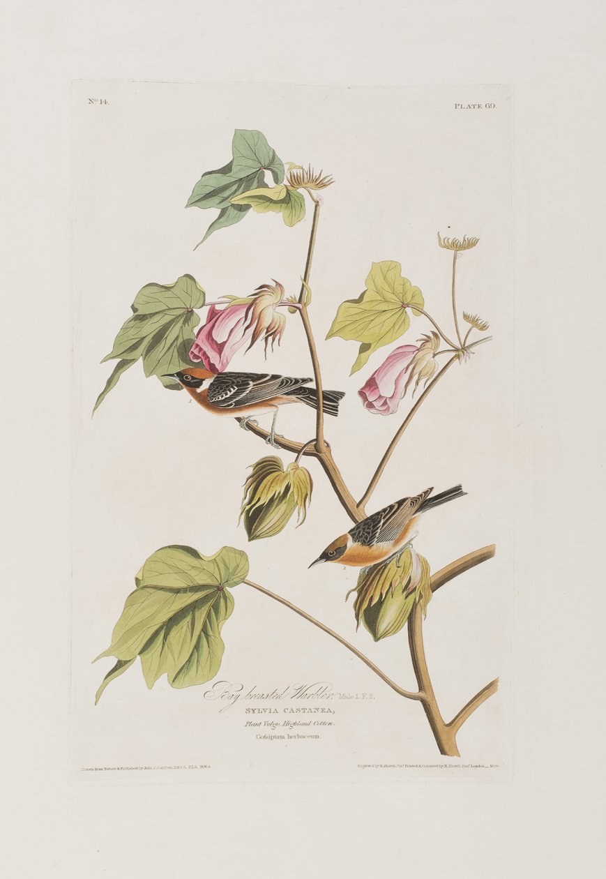 Ilustración de 