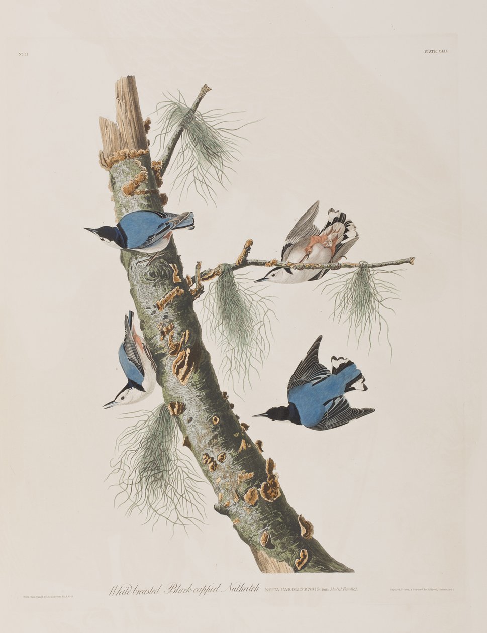 Ilustración de 