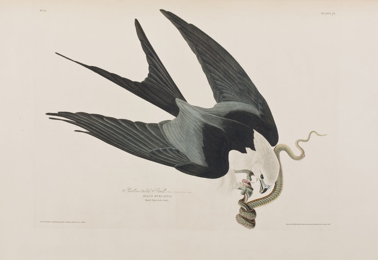 Ilustración de 