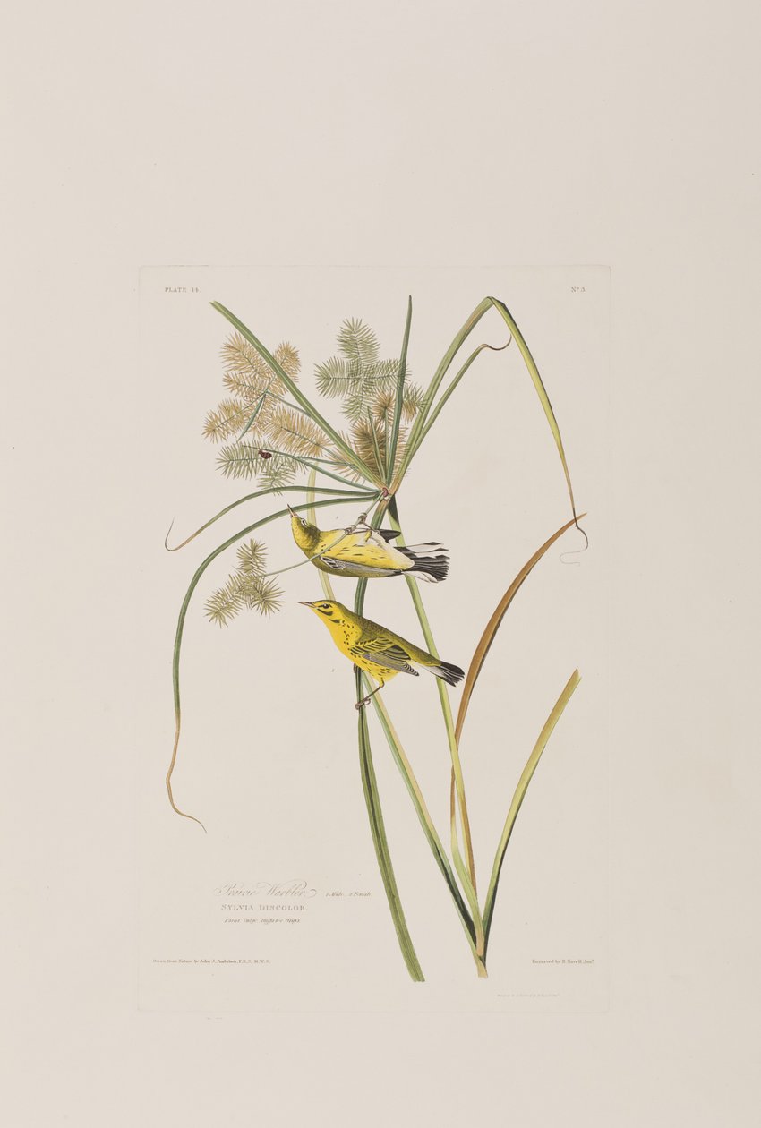 Ilustración de 