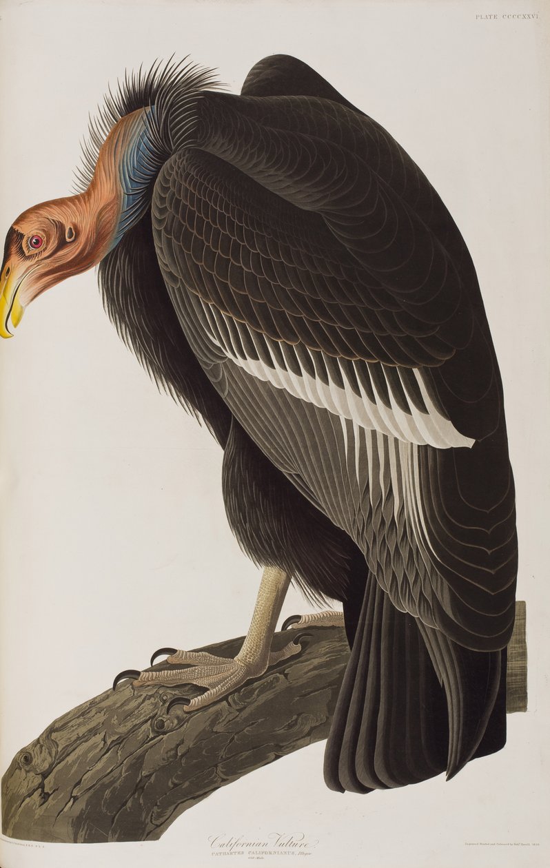 Ilustración de 