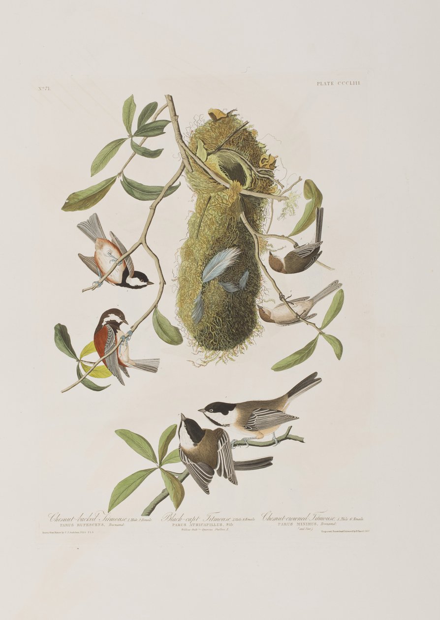 Ilustración de 