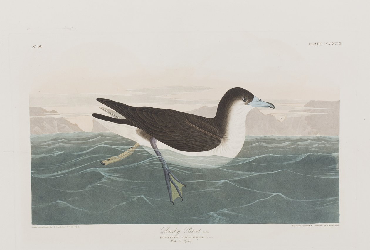 Ilustración de 