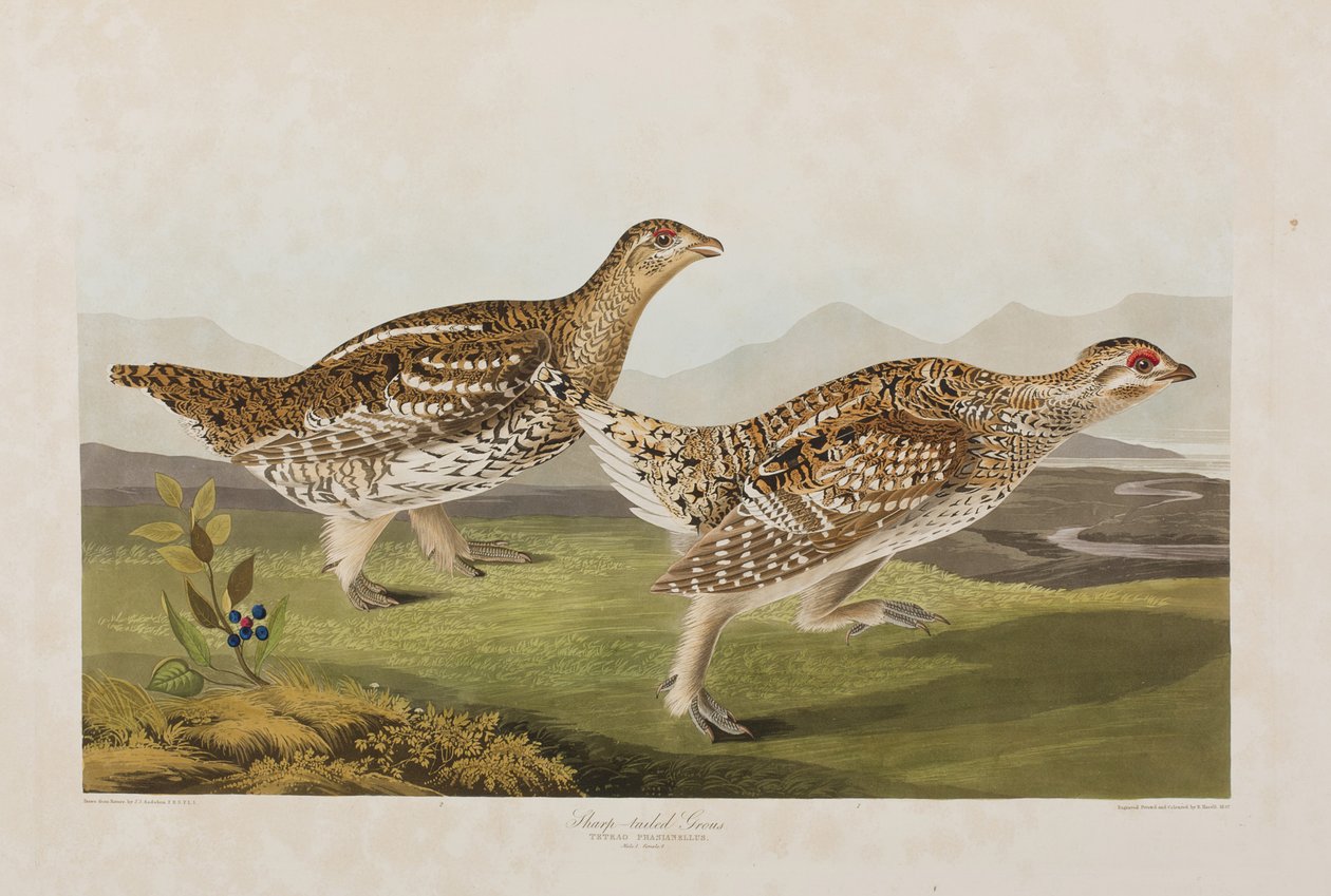 Ilustración de 