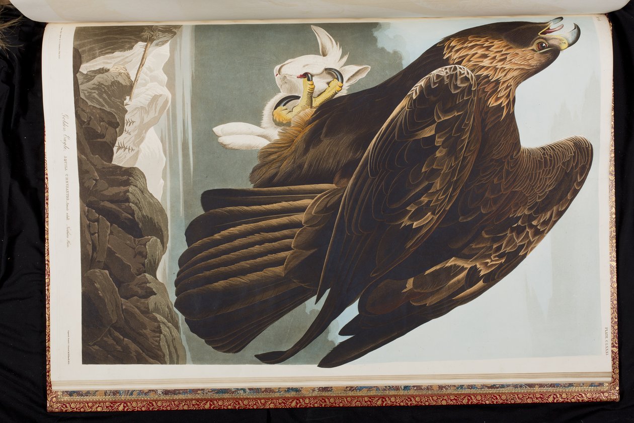 Ilustración de 