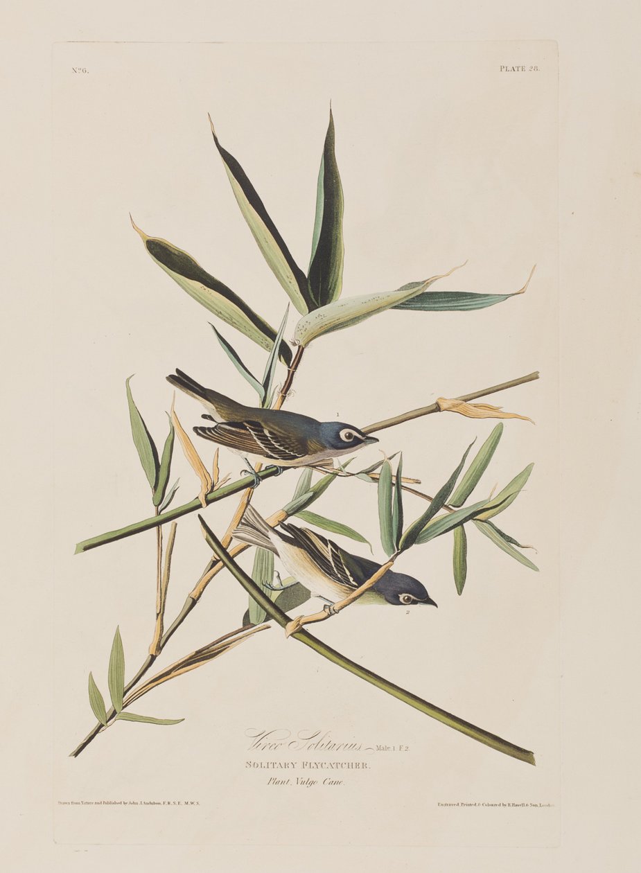 Ilustración de 