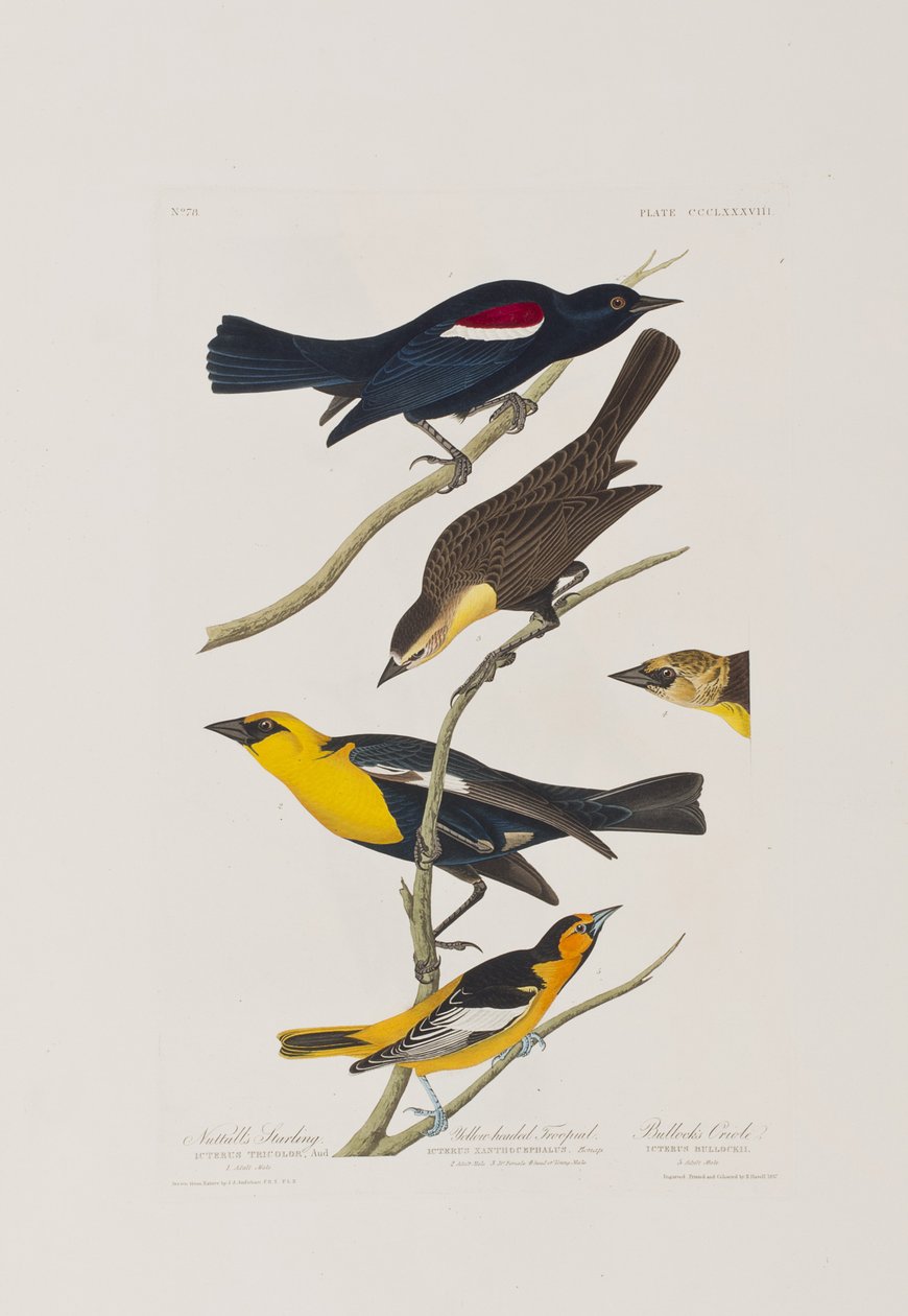 Ilustración de 