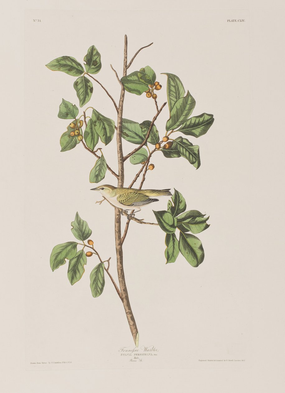 Ilustración de 