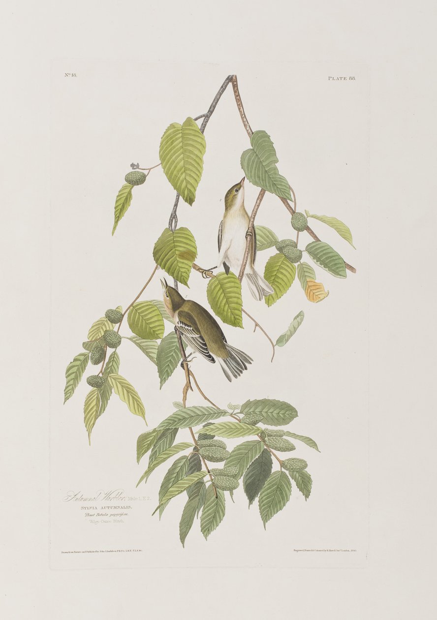 Ilustración de 