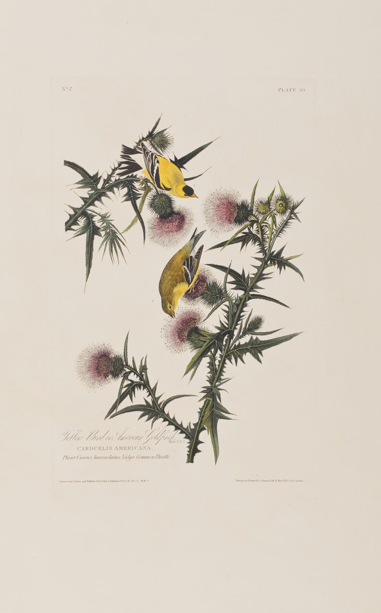 Ilustración de 
