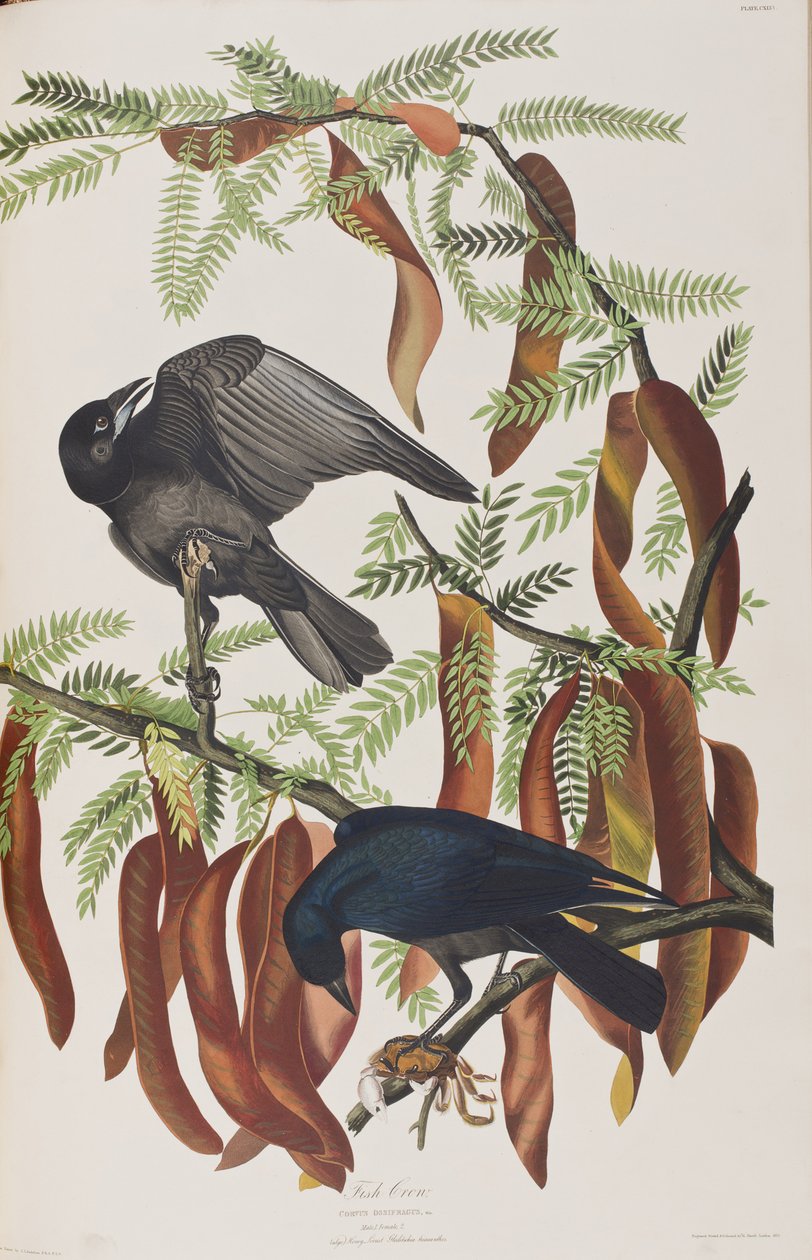 Ilustración de 