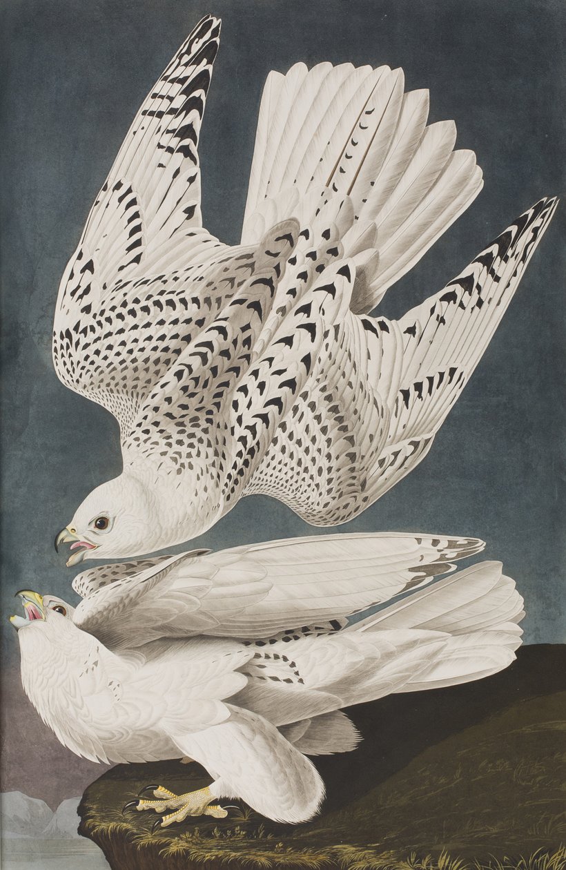 Ilustración de 