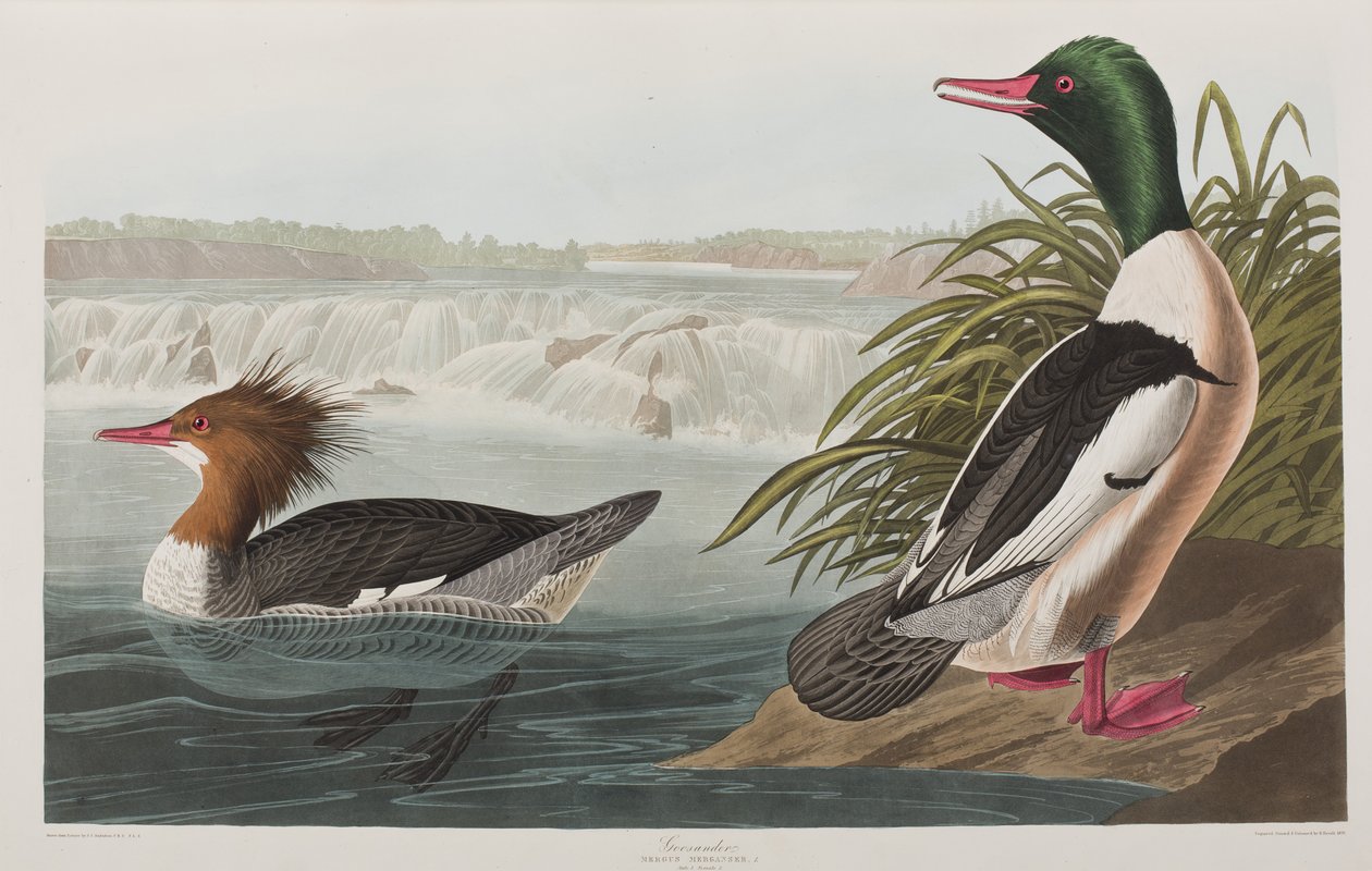 Ilustración de 