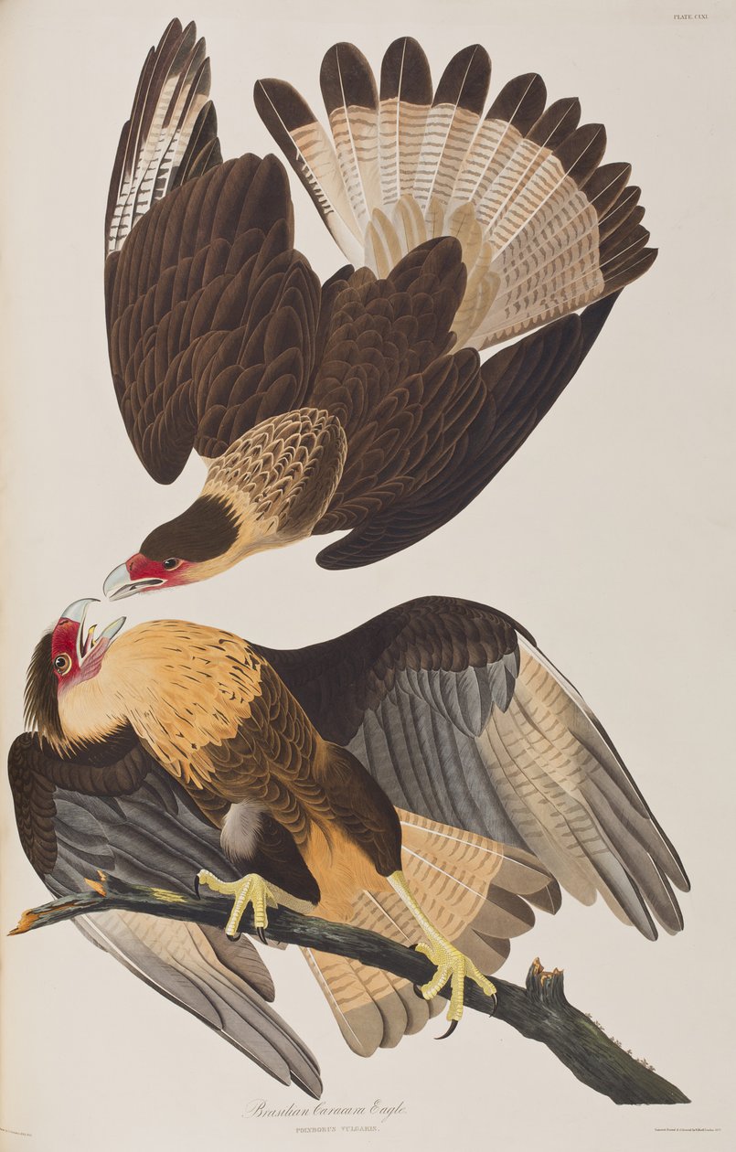 Ilustración de 