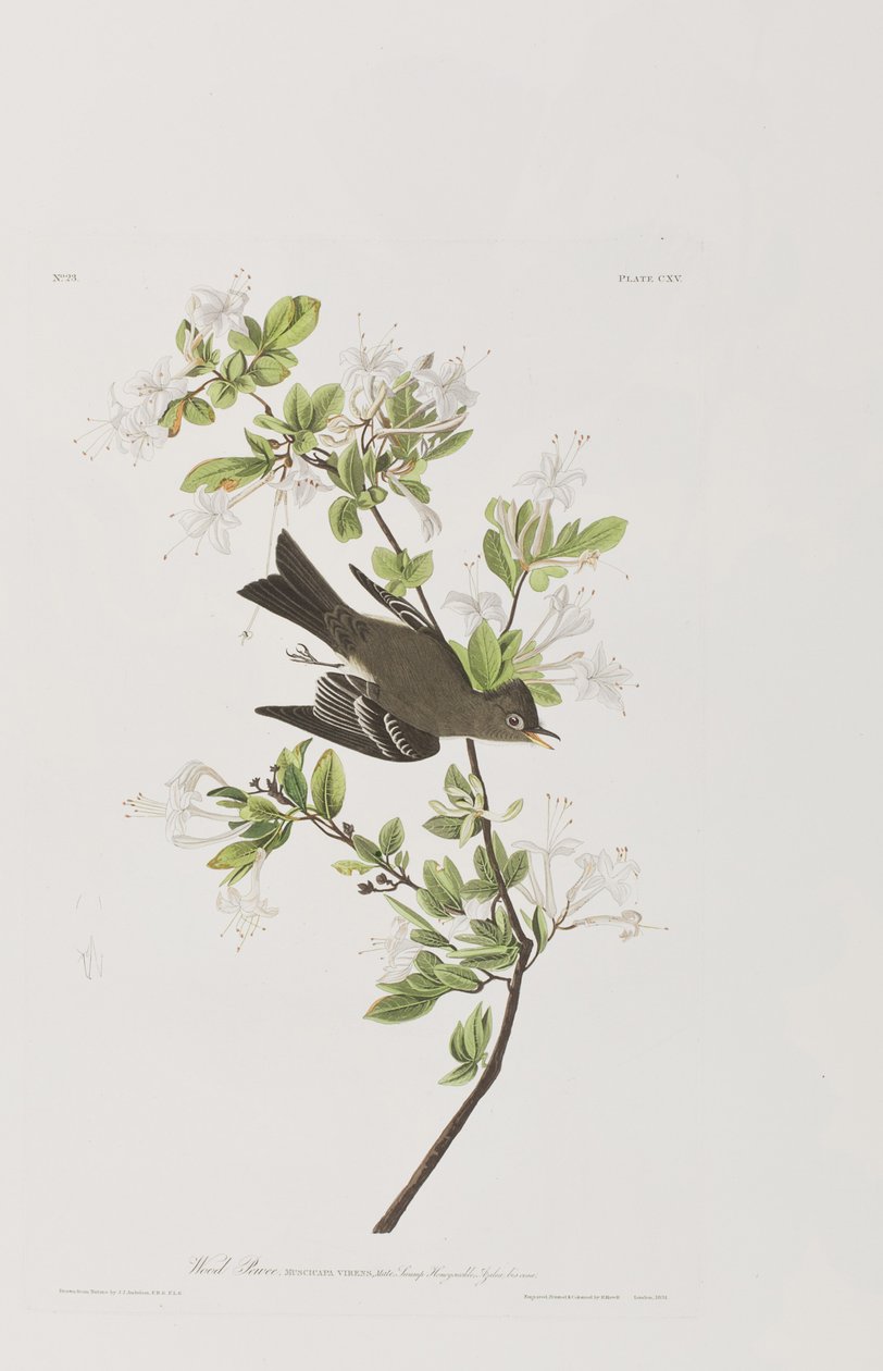 Ilustración de 