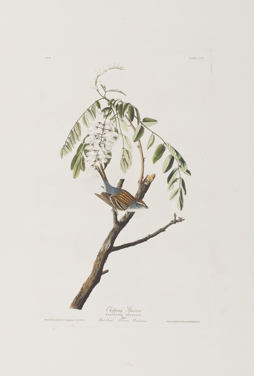 Ilustración de 