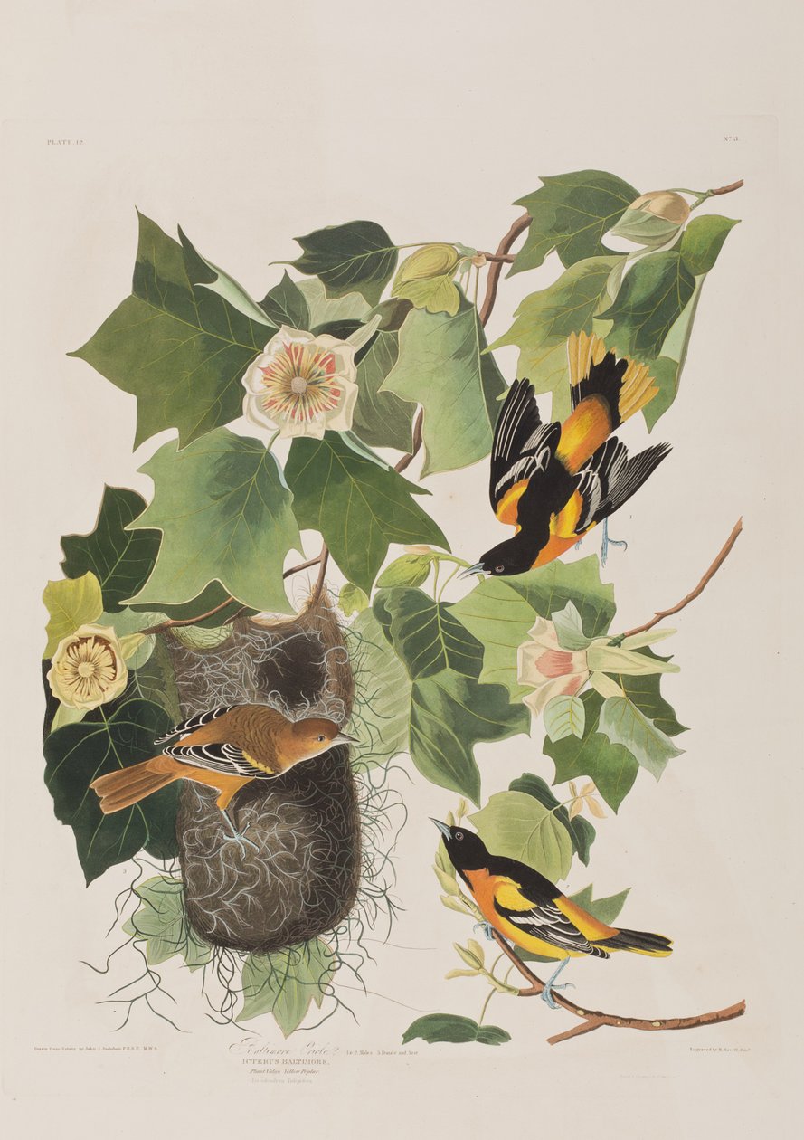 Ilustración de 